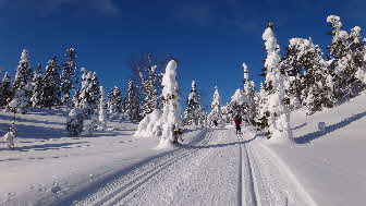 2013-03-11 Pallas-Yllastunturi 015